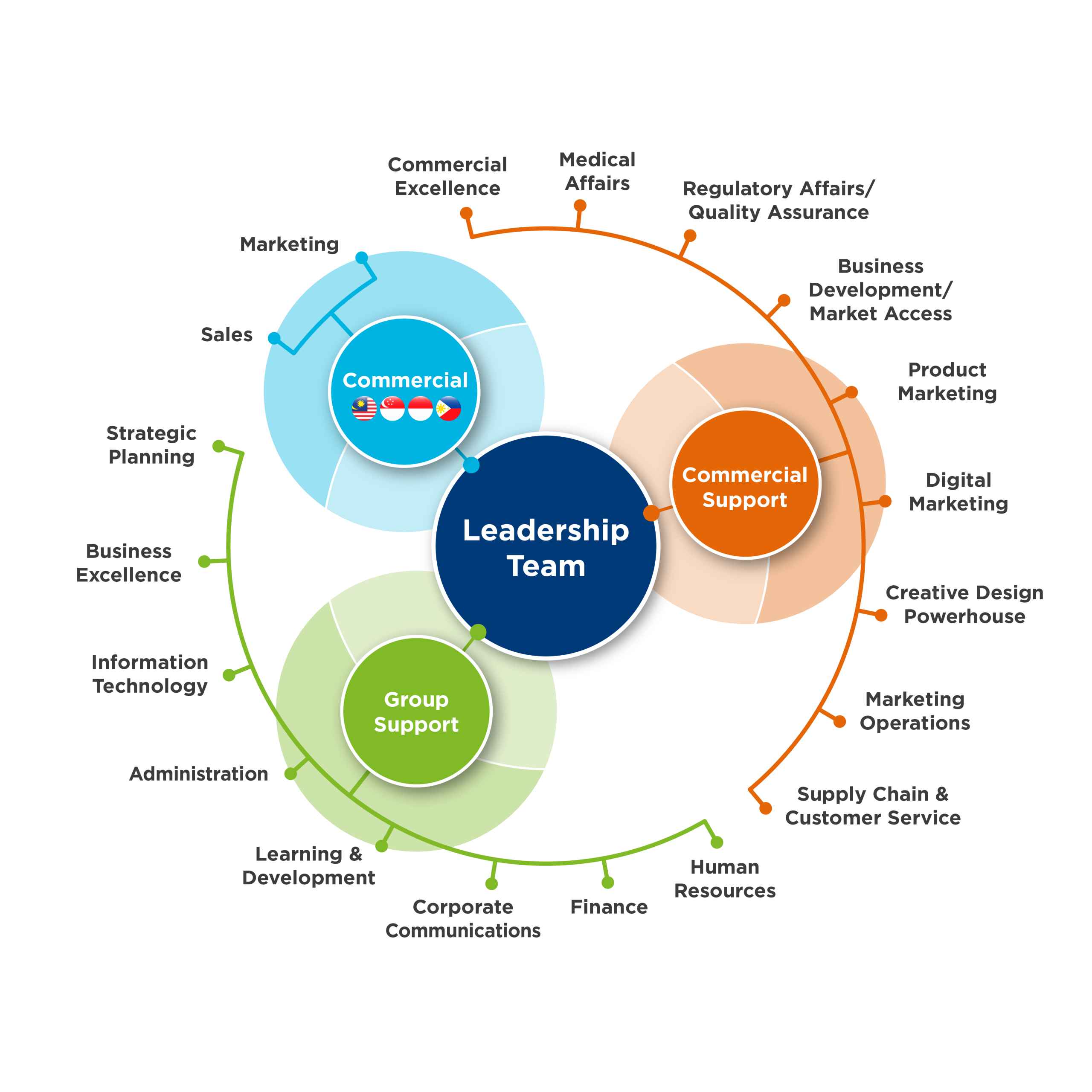 Organisation Chart 2025